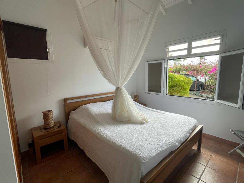 Villa Ste Marthe Avec Piscine, Grande Terrasse, Jardin Intime Et Citerne D'Eau แซงต์-ฟรองซัวส์ ภายนอก รูปภาพ