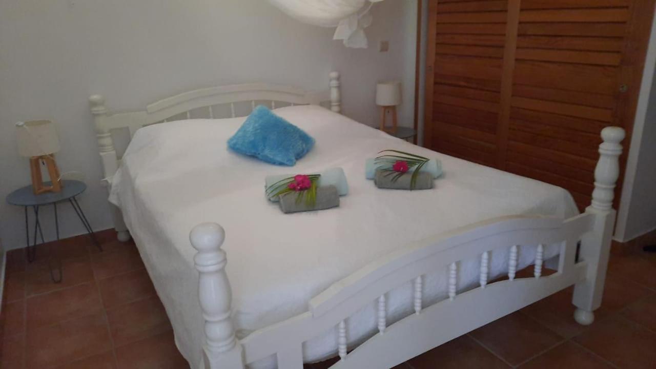Villa Ste Marthe Avec Piscine, Grande Terrasse, Jardin Intime Et Citerne D'Eau แซงต์-ฟรองซัวส์ ภายนอก รูปภาพ